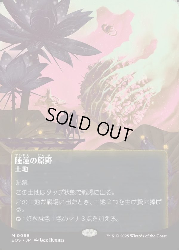 睡蓮の原野　星景ポスター　4枚　日 睡蓮の原野 星景ポスター 4枚 日 EOS)Lotus Field(0068