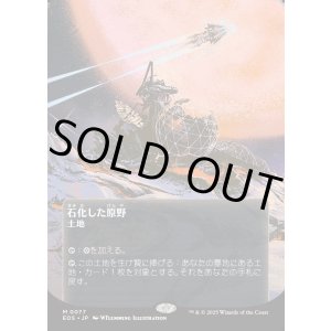 画像: 【星景ポスター】【日本語版】石化した原野/Petrified Field