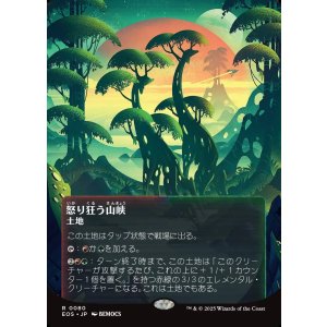 画像: 【星景ポスター】【日本語版】怒り狂う山峡/Raging Ravine