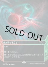 画像: 【ギャラクシーFoil】【星景】【日本語版】燃え柳の木立ち/Grove of the Burnwillows