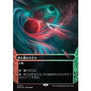 画像: 【ギャラクシーFoil】【星景】【日本語版】燃え柳の木立ち/Grove of the Burnwillows