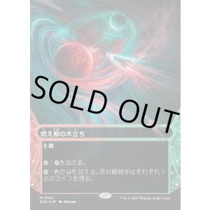 画像: 【ギャラクシーFoil】【星景】【日本語版】燃え柳の木立ち/Grove of the Burnwillows