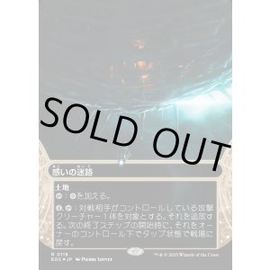 画像: 【ギャラクシーFoil】【星景】【日本語版】惑いの迷路/Mystifying Maze
