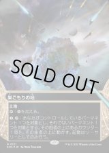 画像: 【ギャラクシーFoil】【星景】【日本語版】巣ごもりの地/Nesting Grounds