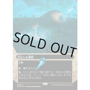 画像: 【ギャラクシーFoil】【星景】【日本語版】石化した原野/Petrified Field