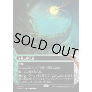 画像: 【ギャラクシーFoil】【星景】【日本語版】活発な野生林/Stirring Wildwood