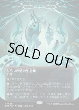 画像: 【ギャラクシーFoil】【星景ポスター】【日本語版】ちらつき蛾の生息地/Blinkmoth Nexus