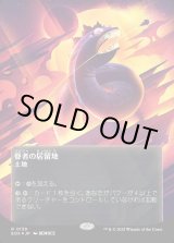 画像: 【ギャラクシーFoil】【星景ポスター】【日本語版】眷者の居留地/Bonders' Enclave