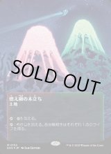 画像: 【ギャラクシーFoil】【星景ポスター】【日本語版】燃え柳の木立ち/Grove of the Burnwillows
