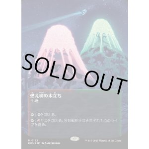 画像: 【ギャラクシーFoil】【星景ポスター】【日本語版】燃え柳の木立ち/Grove of the Burnwillows