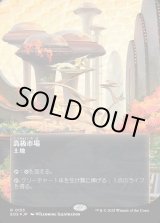 画像: 【ギャラクシーFoil】【星景ポスター】【日本語版】高級市場/High Market