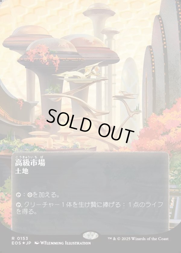 画像1: 【ギャラクシーFoil】【星景ポスター】【日本語版】高級市場/High Market (1)