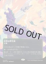 画像: 【ギャラクシーFoil】【星景ポスター】【日本語版】活発な野生林/Stirring Wildwood