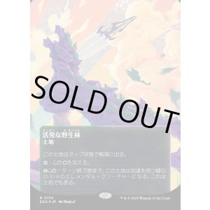 画像: 【ギャラクシーFoil】【星景ポスター】【日本語版】活発な野生林/Stirring Wildwood