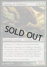 画像: 【日本語版】コルフェノールの若木/Sapling of Colfenor