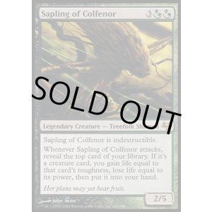 画像: 【日本語版】コルフェノールの若木/Sapling of Colfenor