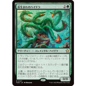 画像: 【Foil】【日本語版】苔生まれのハイドラ/Mossborn Hydra