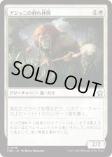 画像: 【日本語版】アジャニの群れ仲間/Ajani's Pridemate