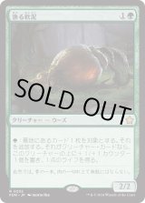 画像: 【Foil】【日本語版】漁る軟泥/Scavenging Ooze