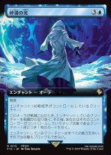 画像: 【Foil】【拡張枠】【日本語版】停滞の光/Observed Stasis