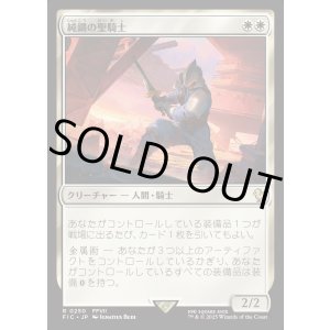 画像: 【日本語版】純鋼の聖騎士/Puresteel Paladin
