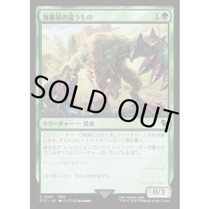 画像: 【日本語版】薄暮殻の這うもの/Duskshell Crawler