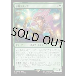 画像: 【日本語版】培養ドルイド/Incubation Druid