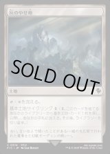 画像: 【日本語版】灰のやせ地/Ash Barrens