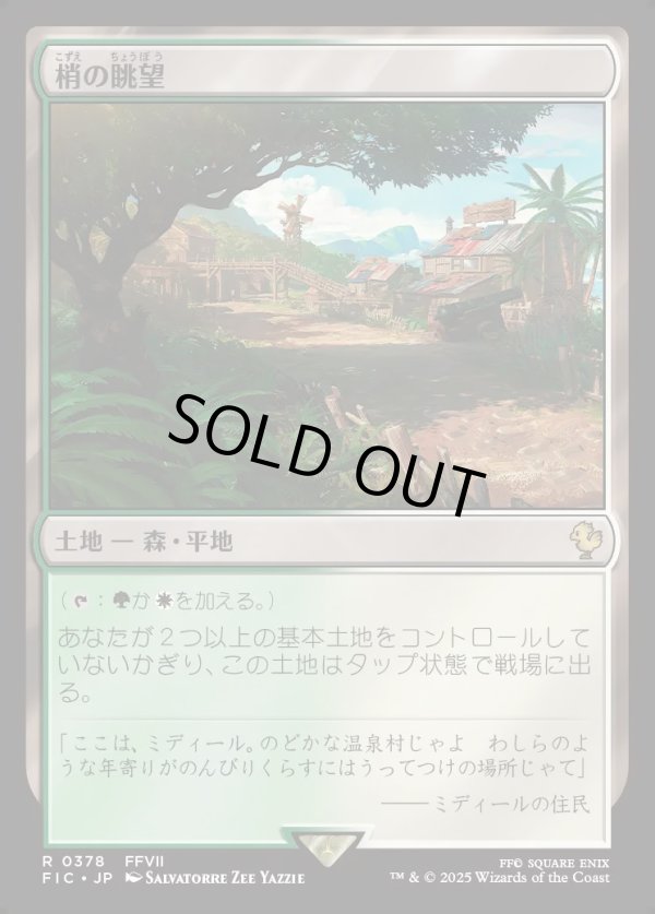 画像1: 【日本語版】梢の眺望/Canopy Vista (1)