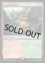 画像: 【日本語版】燃えがらの林間地/Cinder Glade