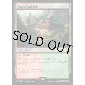 画像: 【日本語版】燃えがらの林間地/Cinder Glade
