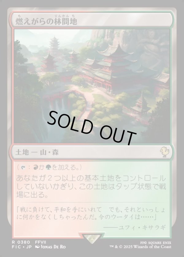 画像1: 【日本語版】燃えがらの林間地/Cinder Glade (1)