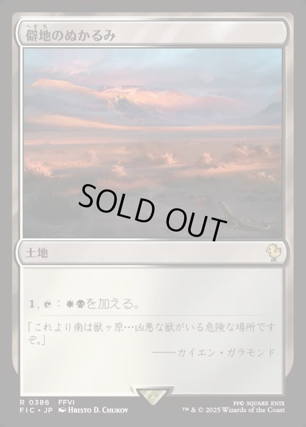 画像1: 【日本語版】僻地のぬかるみ/Desolate Mire (1)