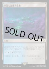 画像: 【日本語版】水没した地下墓地/Drowned Catacomb