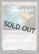 画像: 【日本語版】進化する未開地/Evolving Wilds