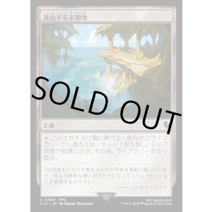 画像: 【日本語版】進化する未開地/Evolving Wilds