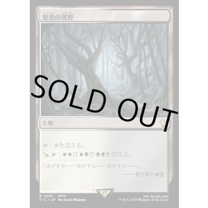 画像: 【日本語版】悪臭の荒野/Fetid Heath