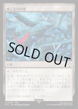 画像: 【日本語版】巣ごもりの地/Nesting Grounds