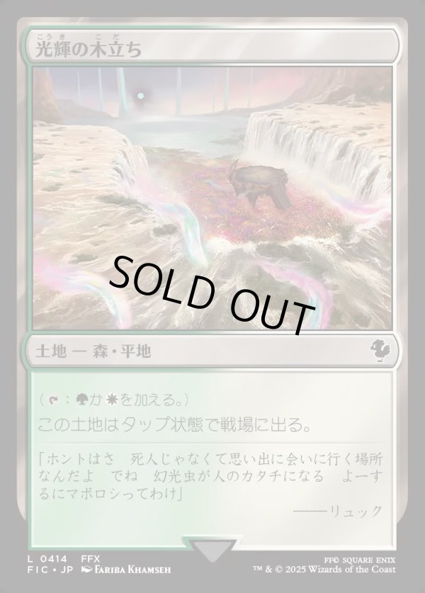 画像1: 【日本語版】光輝の木立ち/Radiant Grove (1)