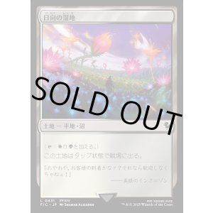 画像: 【日本語版】日向の湿地/Sunlit Marsh