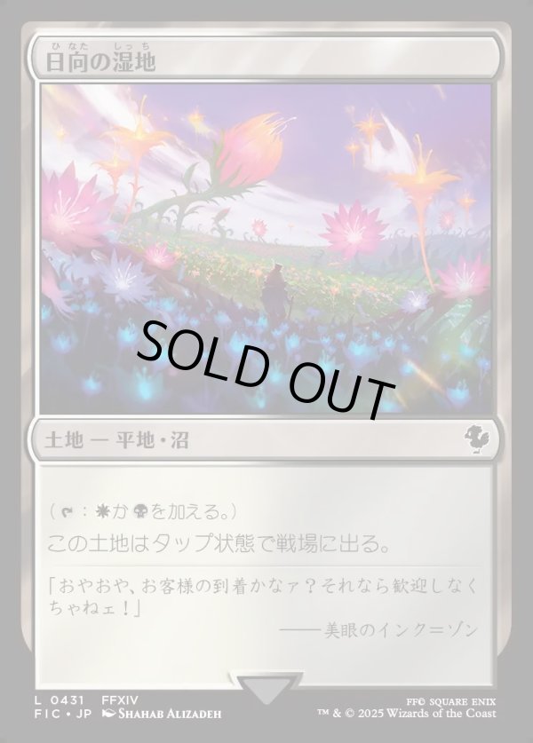 画像1: 【日本語版】日向の湿地/Sunlit Marsh (1)