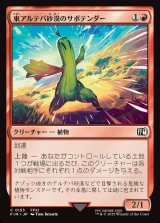 画像: 【日本語版】東アルテパ砂漠のサボテンダー/Sabotender