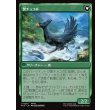 画像2: 【日本語版】サブクエスト：チョコボ育成/黒チョコボ/Sidequest: Raise a Chocobo/Black Chocobo (2)