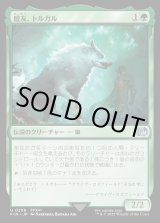 画像: 【Foil】【日本語版】盟友、トルガル/Torgal, A Fine Hound