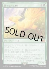 画像: 【Foil】【日本語版】旅するチョコボ/Traveling Chocobo
