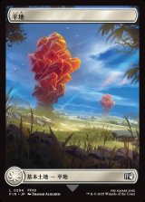 画像: 【フルアート】【日本語版】平地/Plains