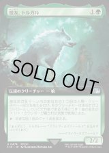 画像: 【Foil】【拡張枠】【日本語版】盟友、トルガル/Torgal, A Fine Hound
