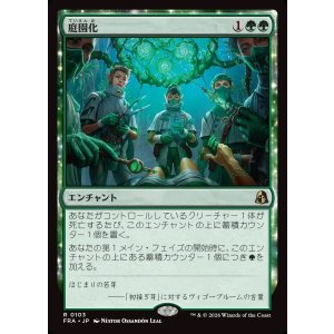 画像: 【Foil】【日本語版】庭園化/Gardenize