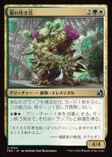 画像: 【日本語版】暴れ咲き花/Bloombrute