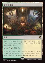 画像: 【Foil】【日本語版】草茂る農地/Overgrown Farmland